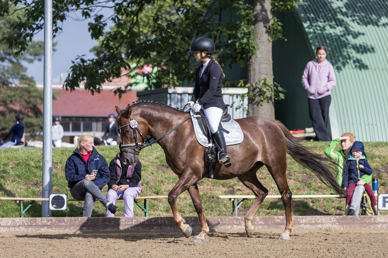 Bild 350 - Pony Akademie Turnier